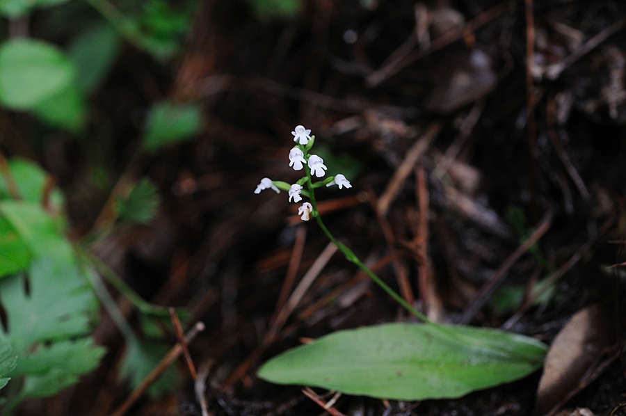 DSC_9259.JPG