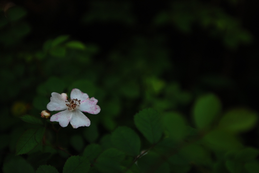 크기변환_DSC_0158.JPG