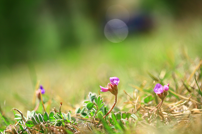 2010.04.25 287.jpg