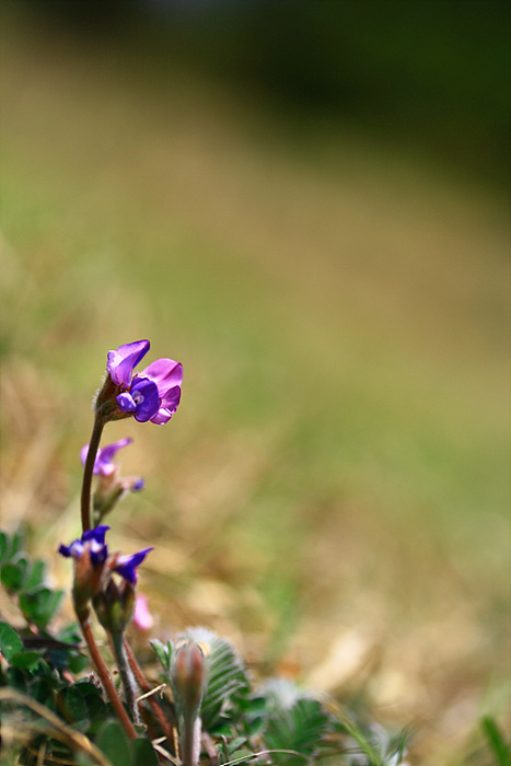 2010.04.25 302.jpg