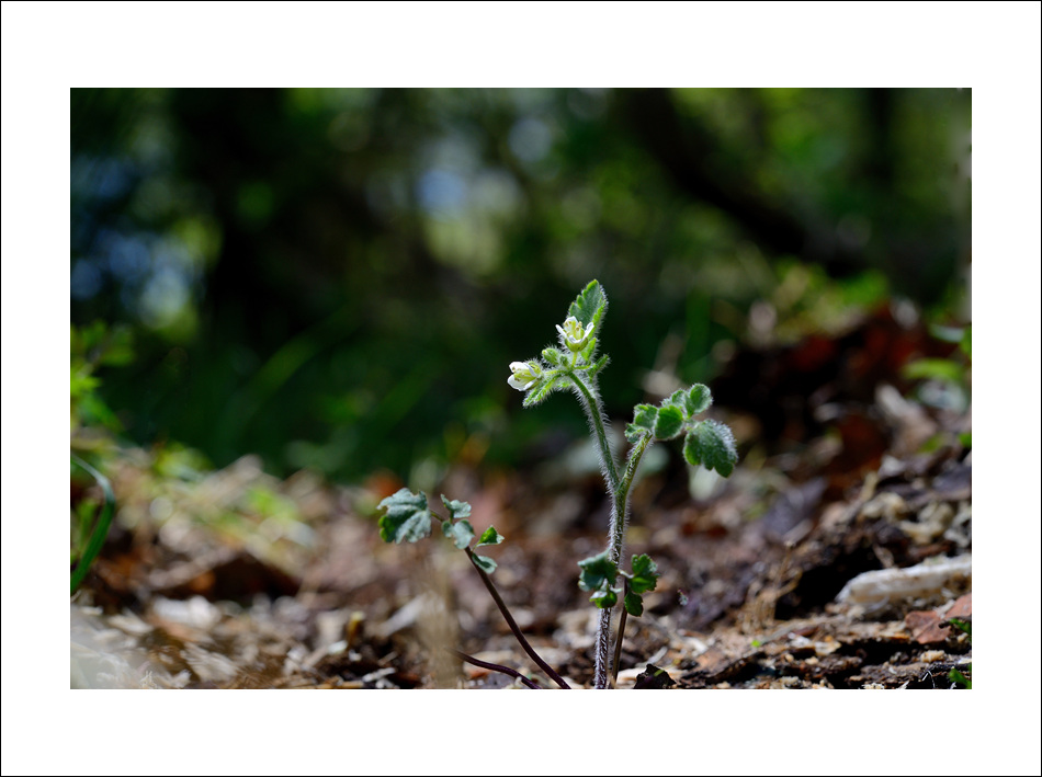 DSC_2664.jpg