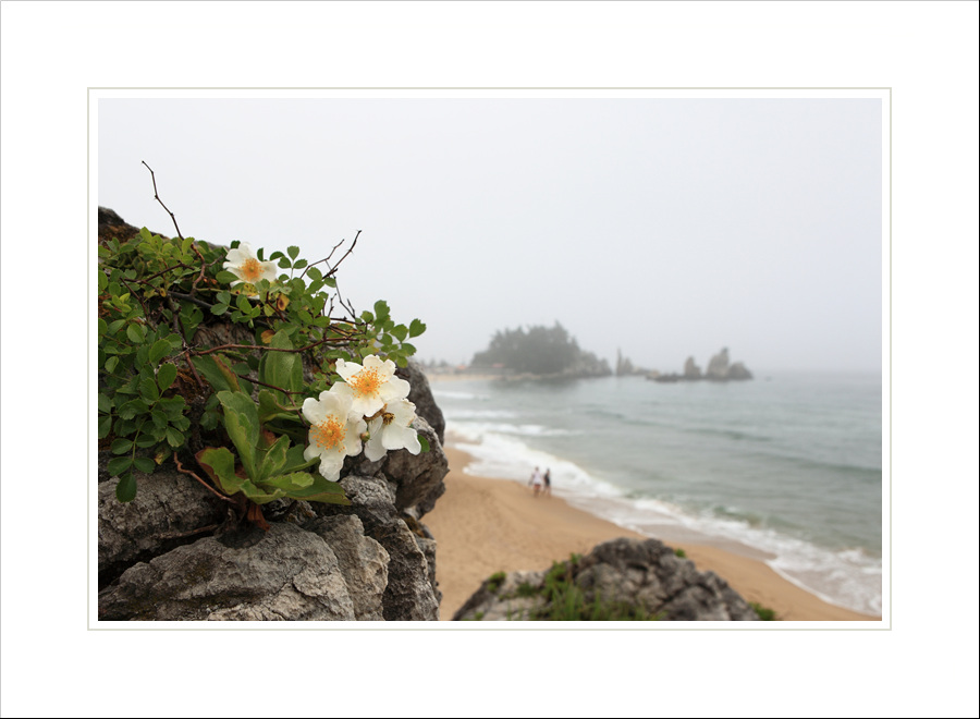 IMG_8374s.jpg