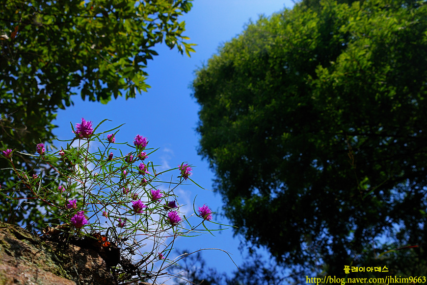 DSC_1059.jpg