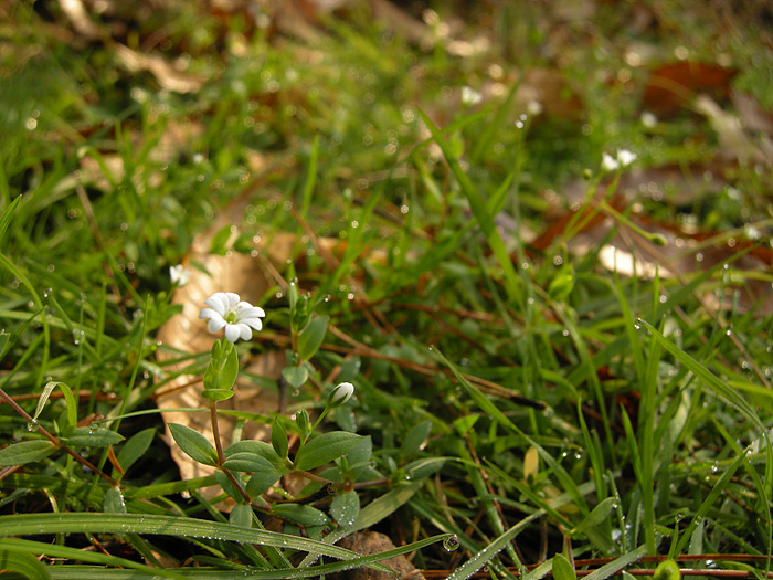 DSCN3165.jpg