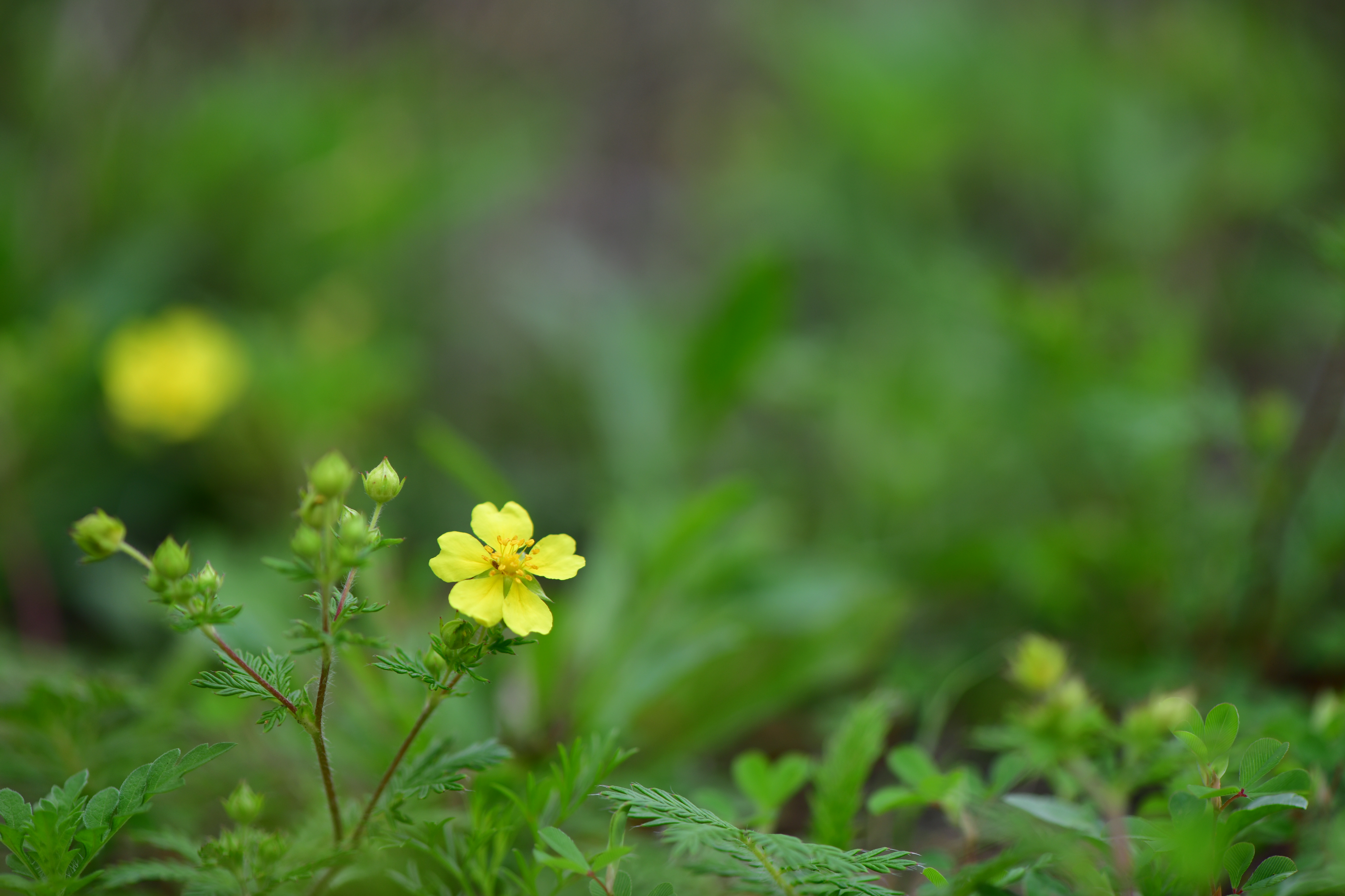 DSC_2028.JPG