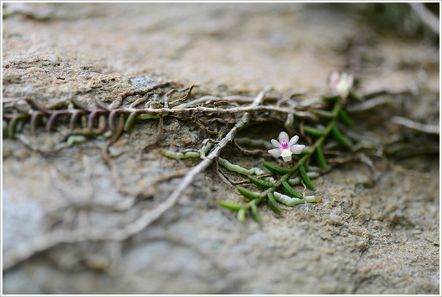 DSC_7976.jpg
