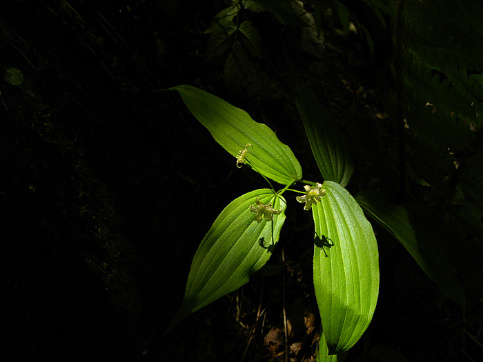 DSCN2922.jpg