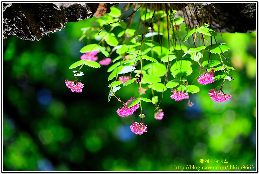 DSC_0961.jpg