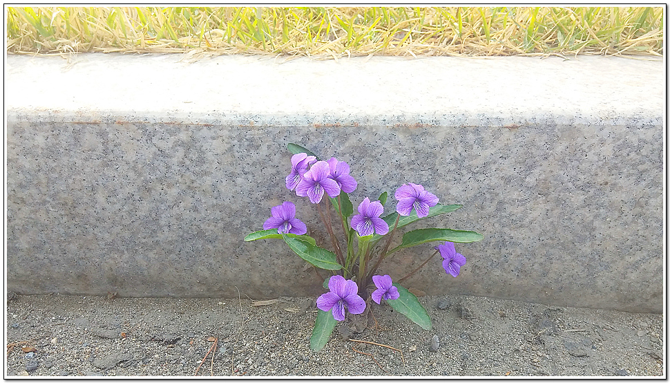 20140414_074801.jpg