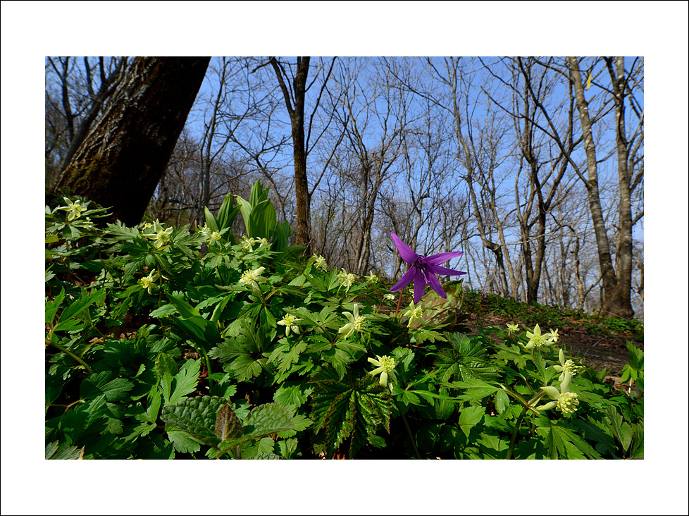 DSC_9390.jpg