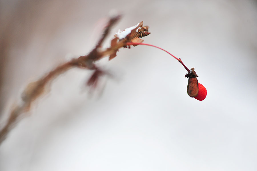 20120104_0023-1.jpg