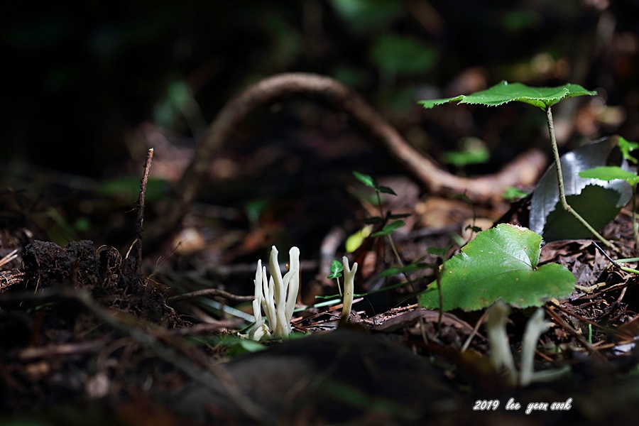 P39A9553.JPG
