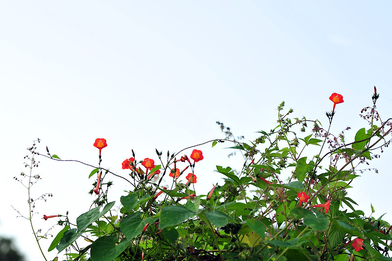 20120925_0002-1.jpg