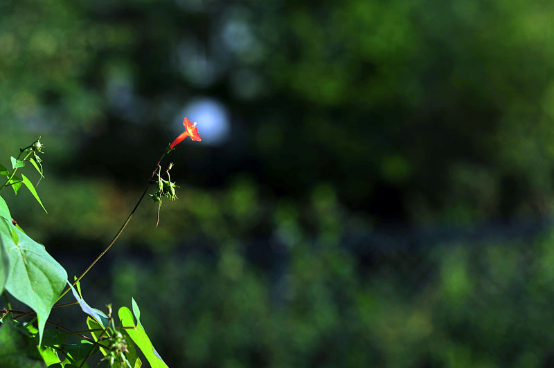 20120925_0046-1.jpg