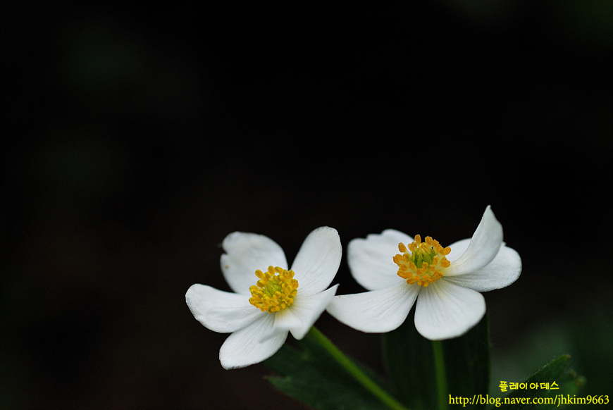DSC_0576.jpg