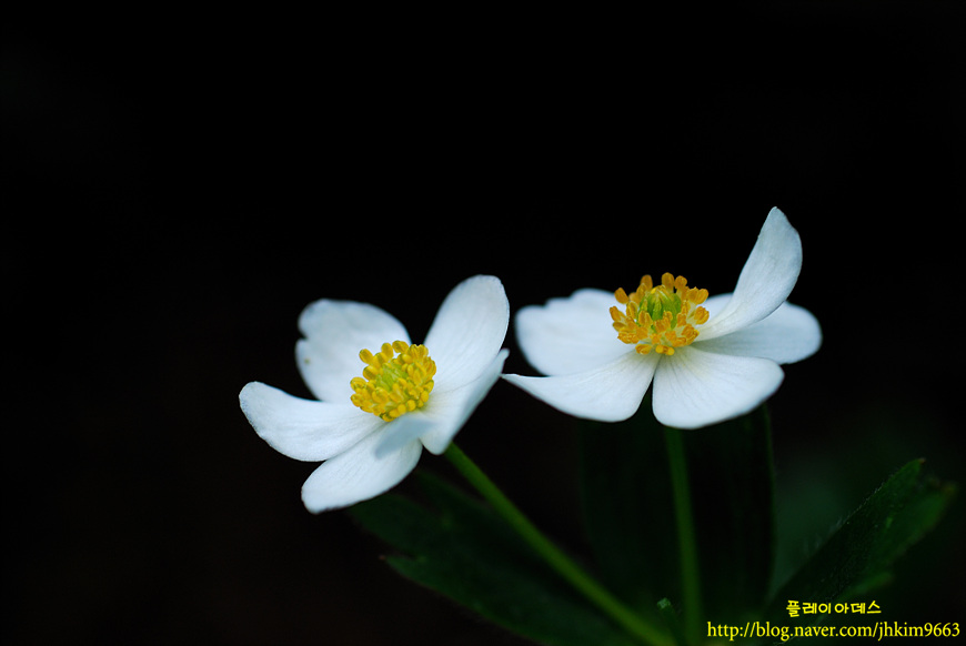 DSC_0578.jpg