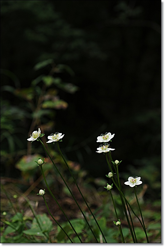 DSC_8739.JPG