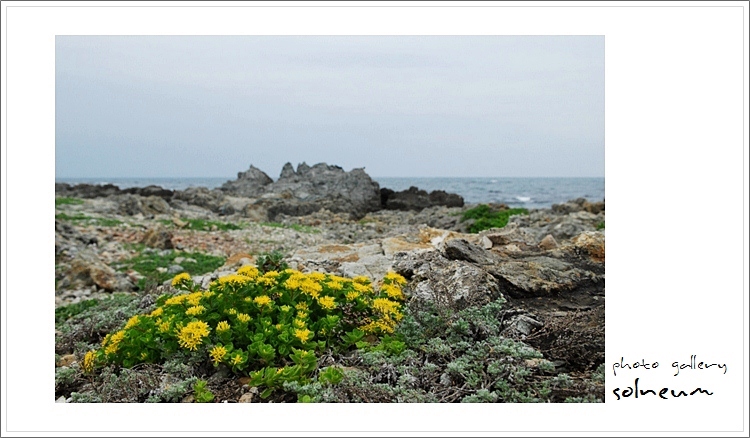 11-35 eastsea (11-05-21) 303sz.jpg