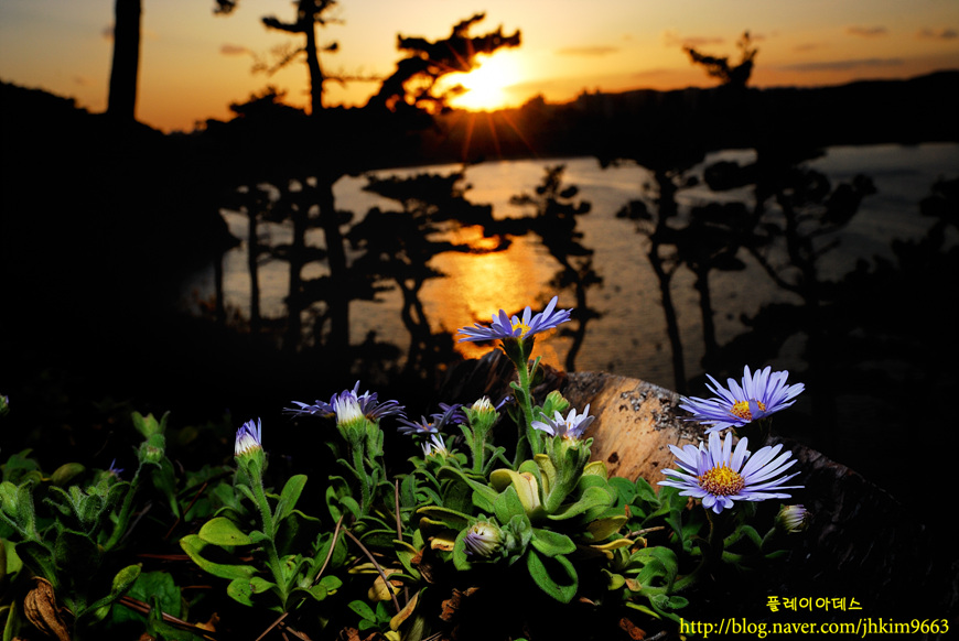 DSC_1646.jpg