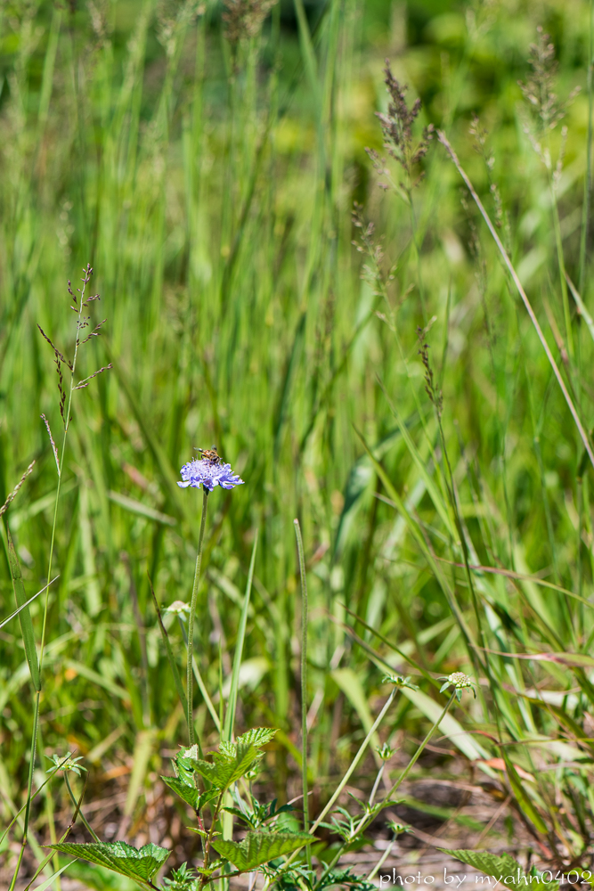 DSC_9682.jpg