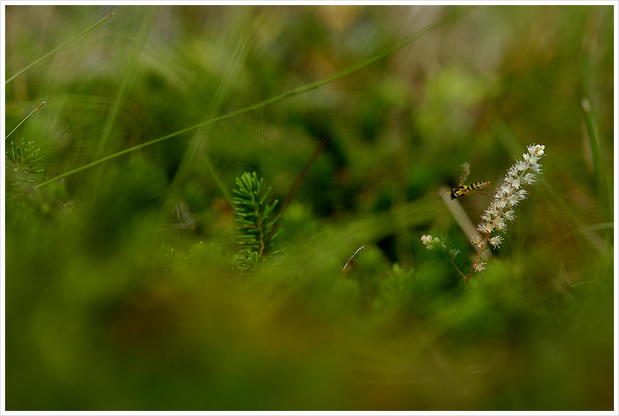 DSC_9734.jpg