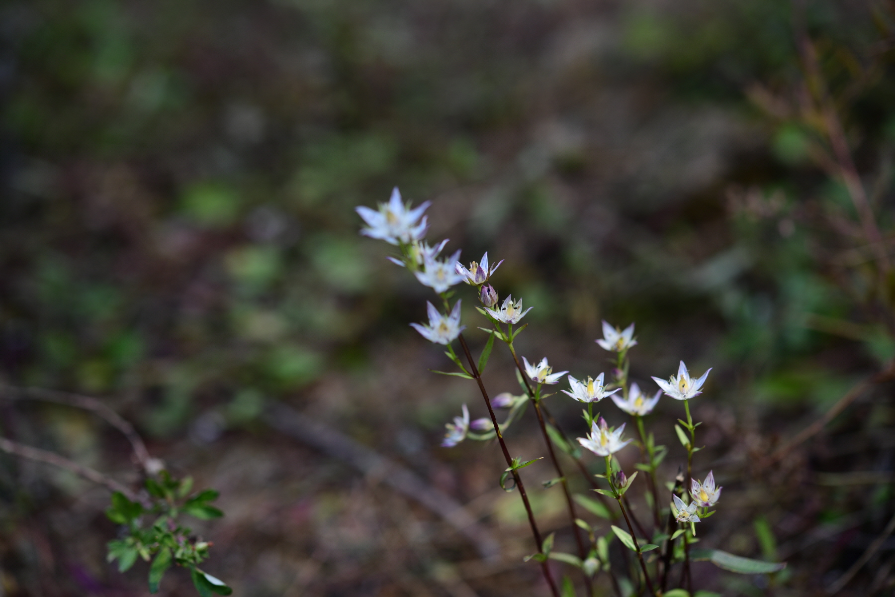 크기변환_DSC_2512.JPG