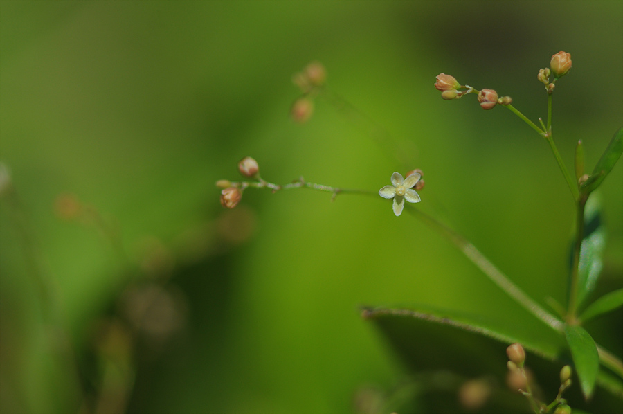DSC_8109.jpg
