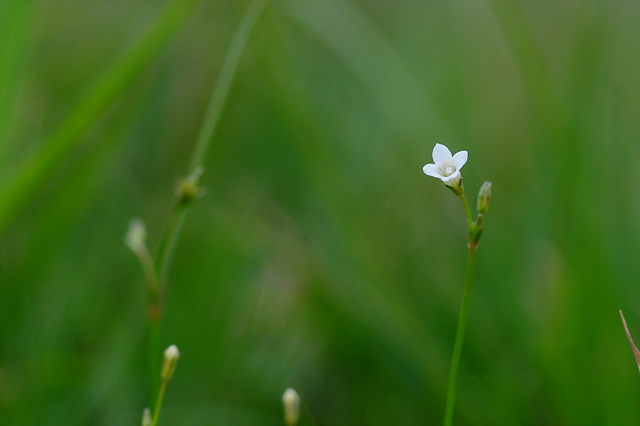 DSC_6316.jpg