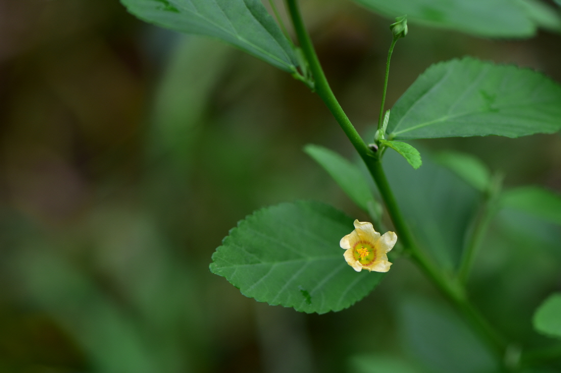DSC_0553.JPG
