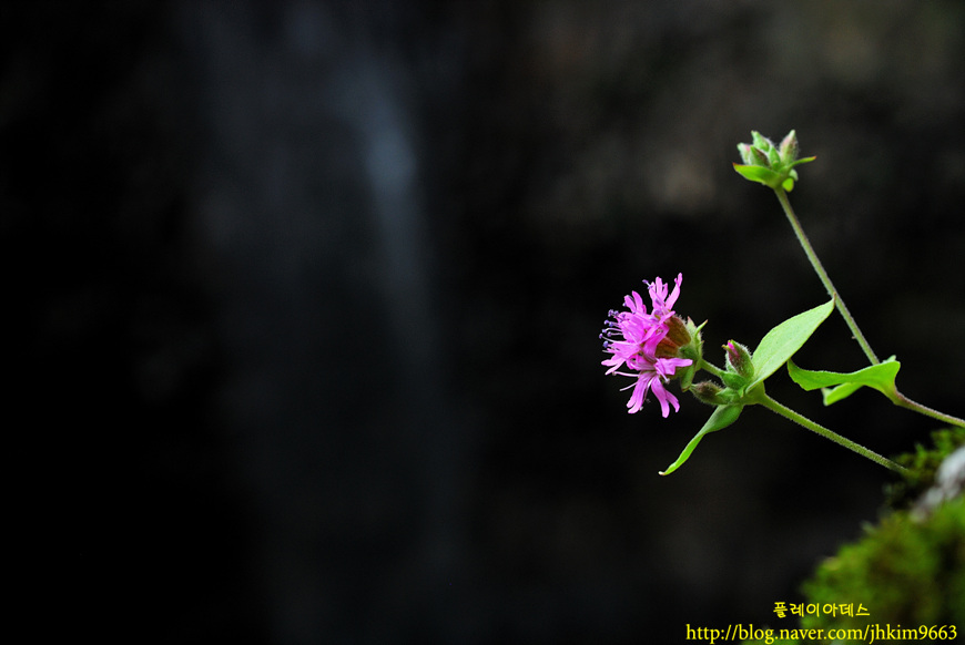 DSC_8714.jpg