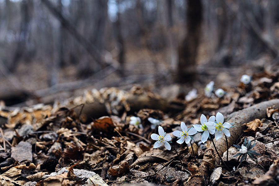 20120304_0063-1.jpg