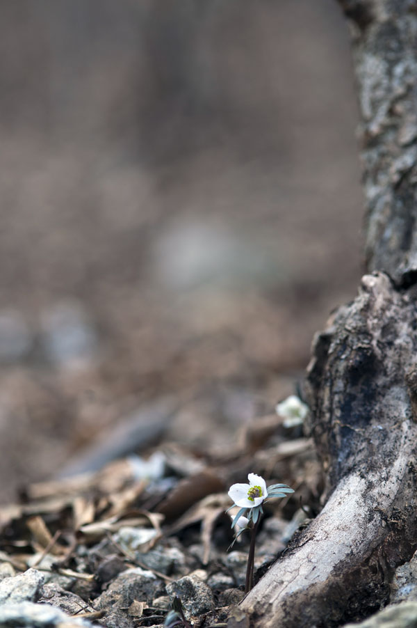 20120304_0089-1.jpg