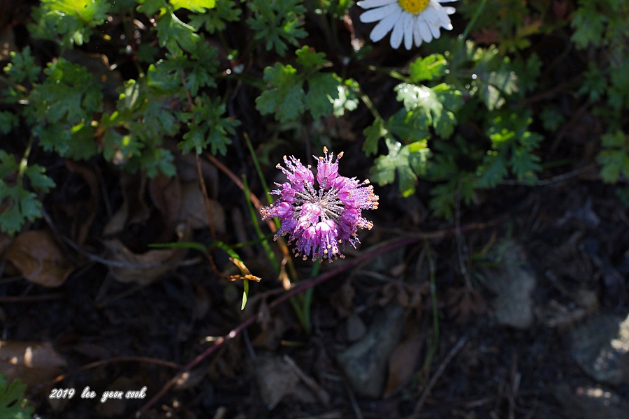 20190929-P39A0489.jpg