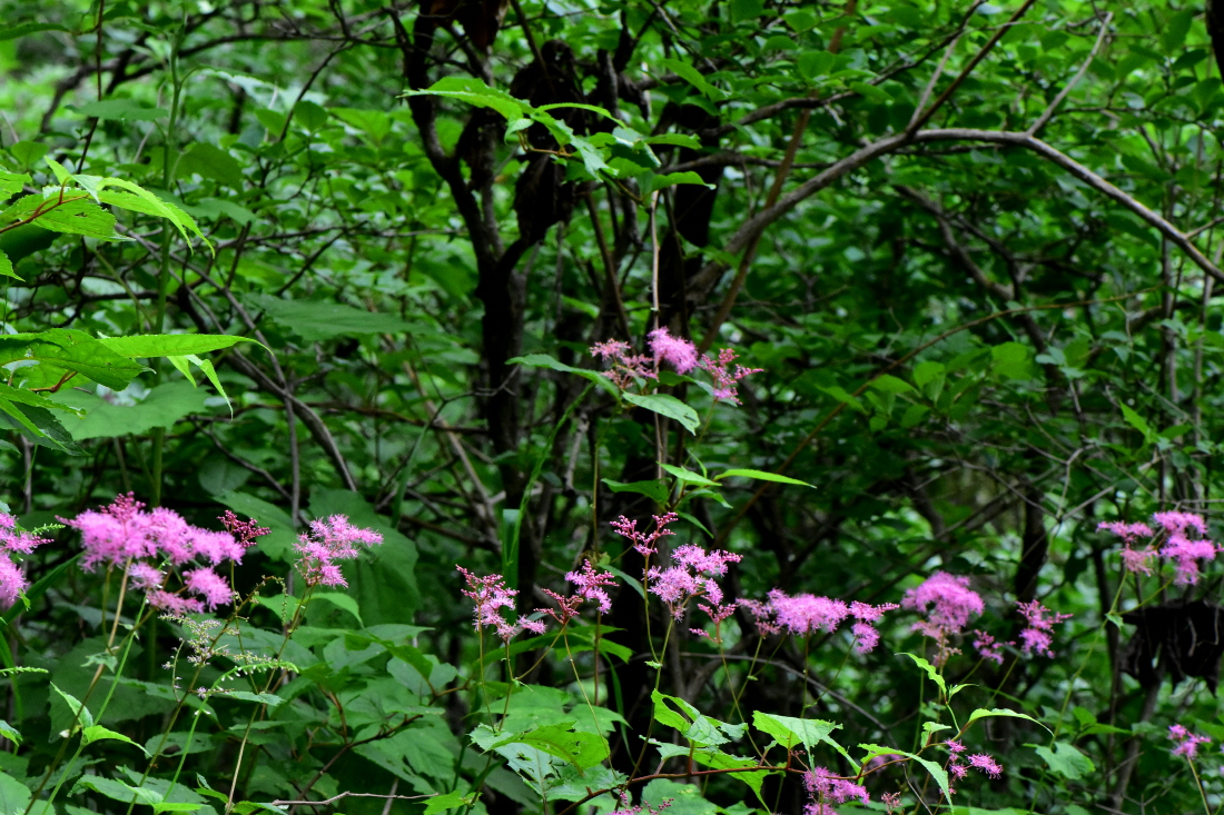 DSC_3824.JPG