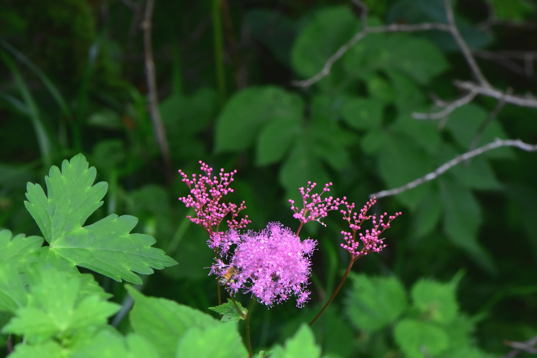 DSC_3857.JPG