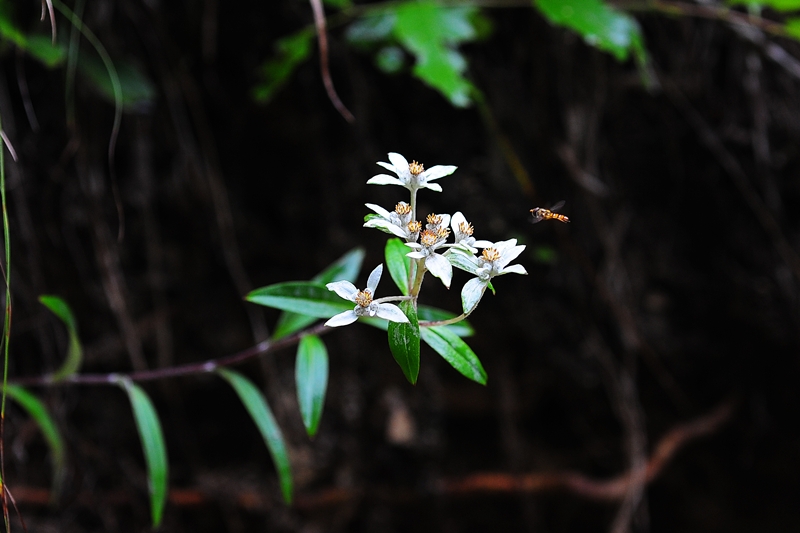 DSC_5111.JPG