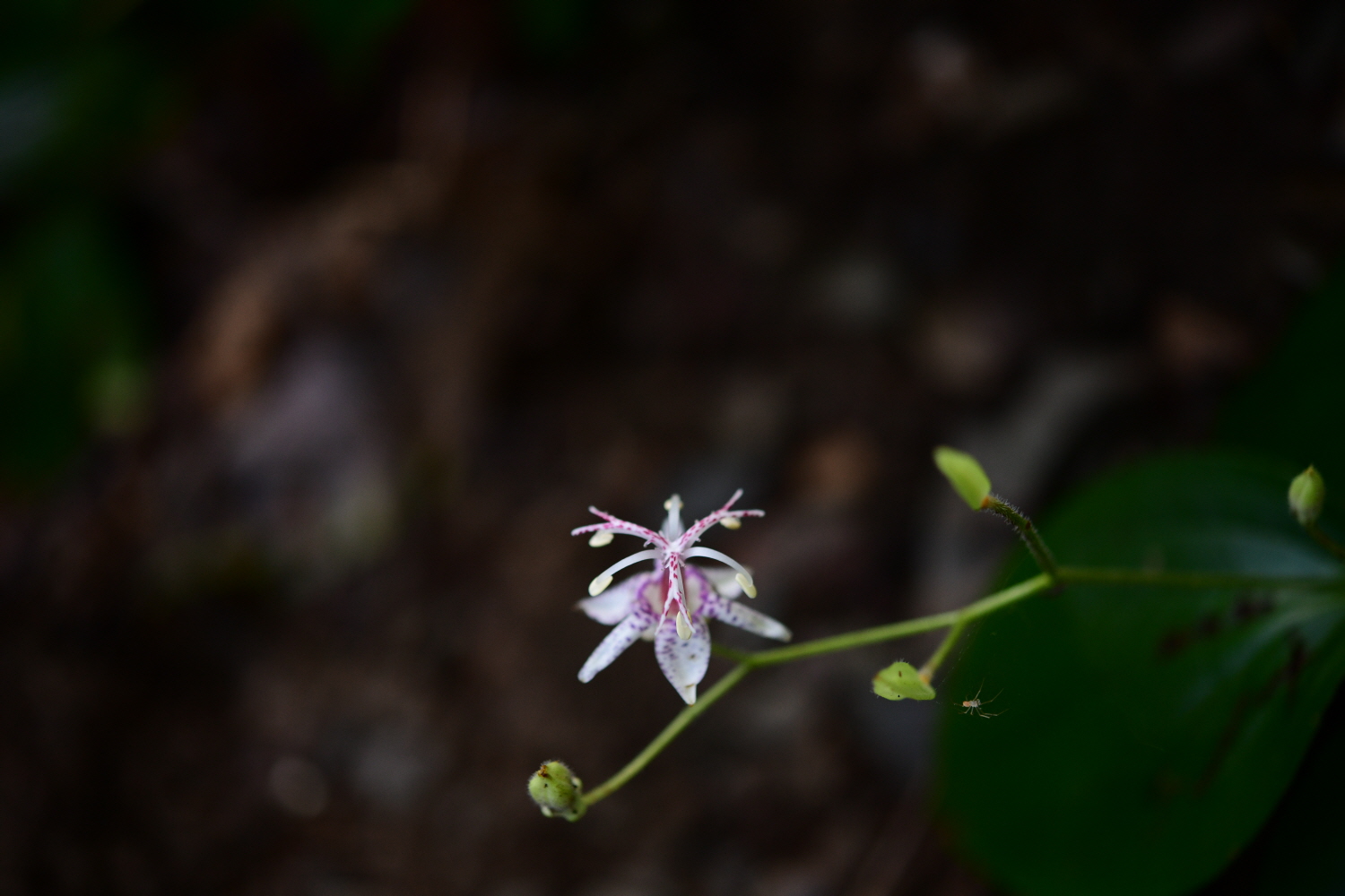 크기변환_DSC_8269.JPG