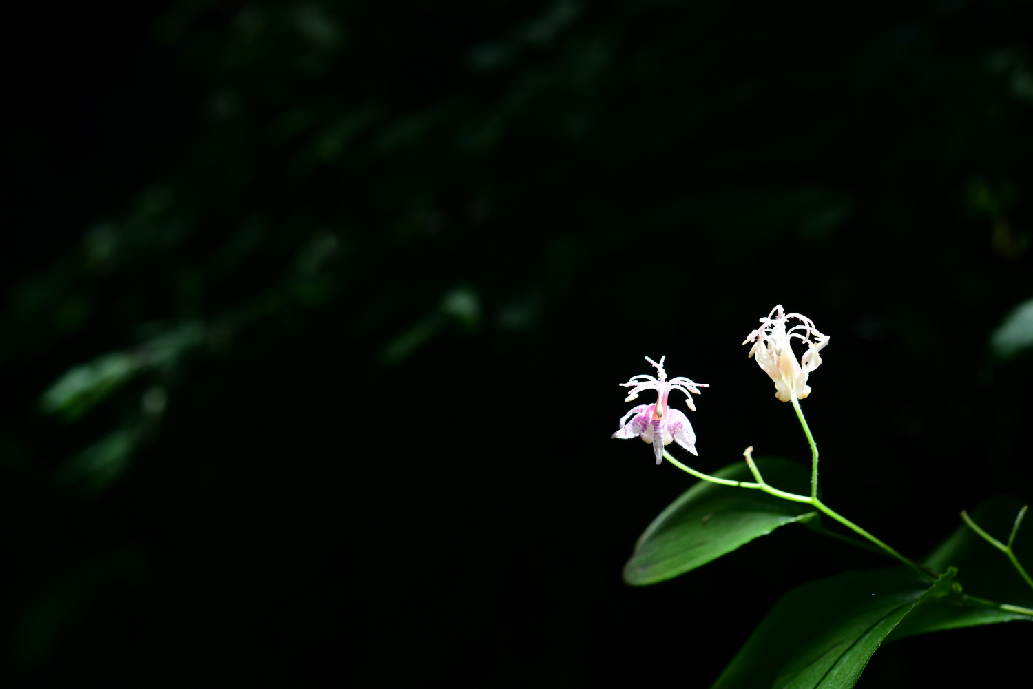 크기변환_DSC_8666.JPG