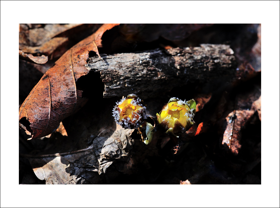 DSC_6696.jpg