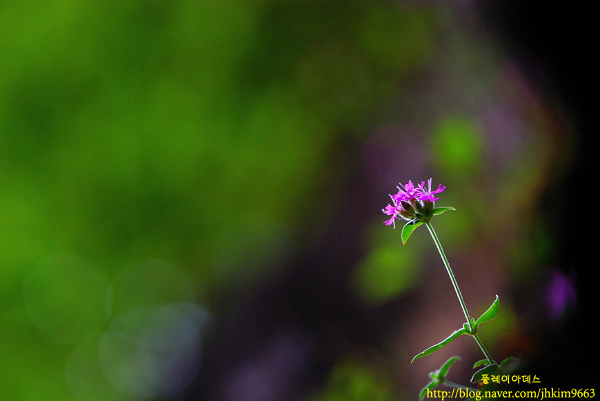 DSC_8800.jpg