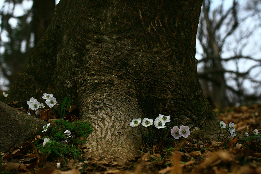 2010.03.06 480.jpg