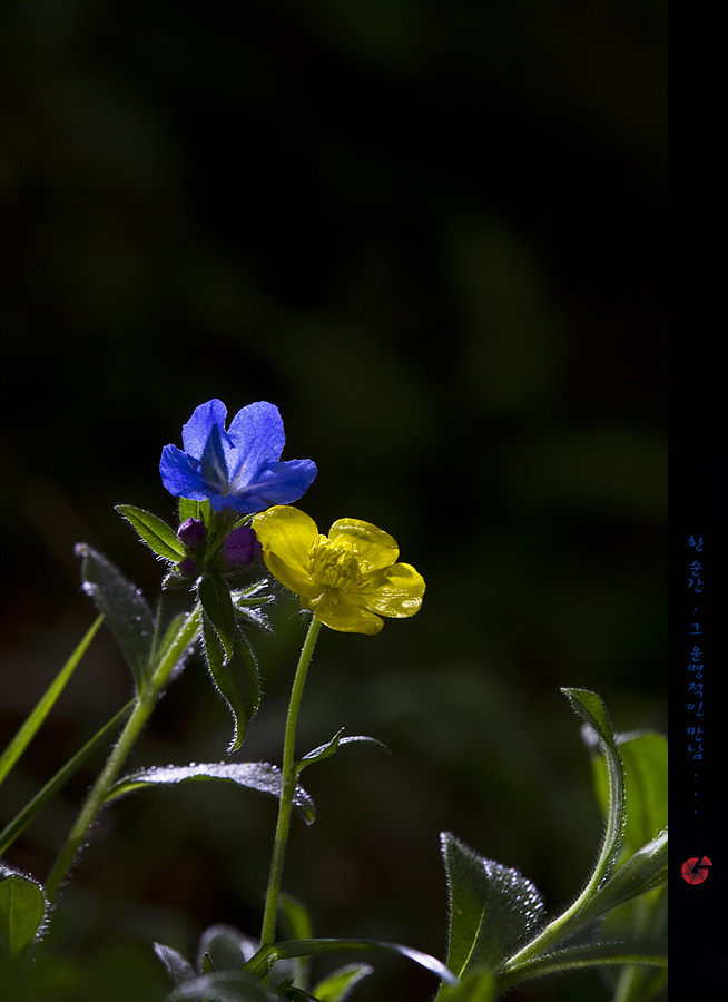 s2327310.jpg