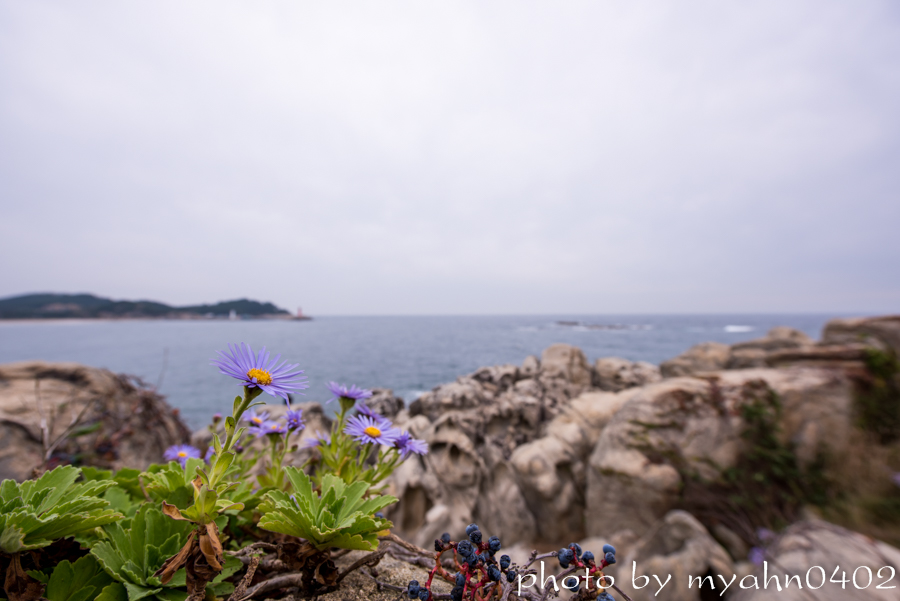 DSC_4278.jpg