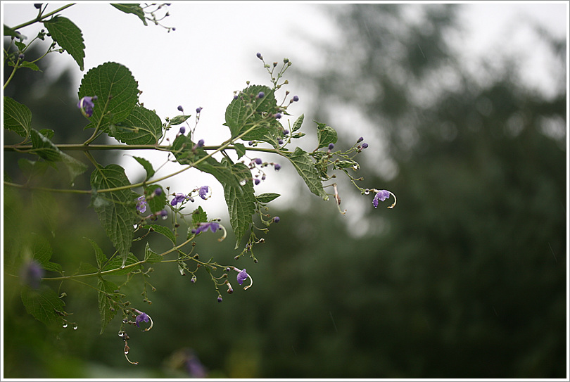 2010.09.05 455.jpg