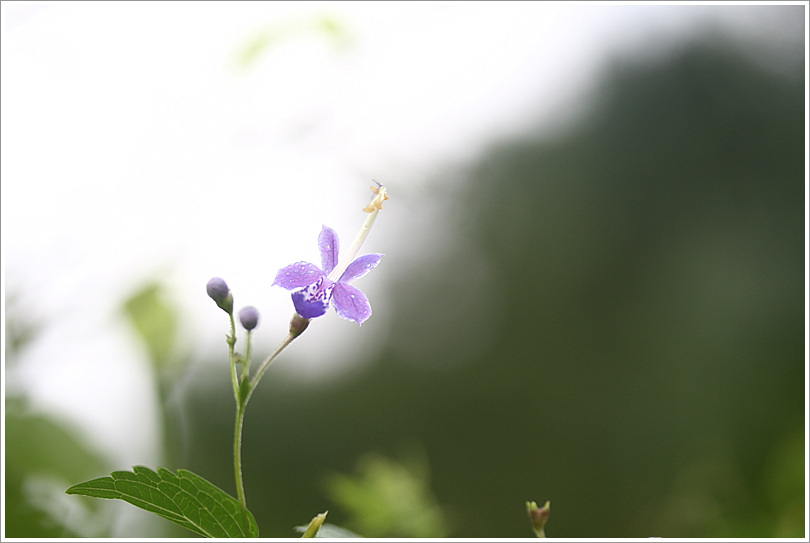 2010.09.05 434.jpg