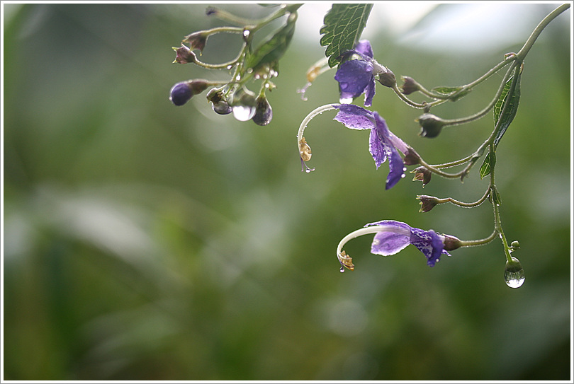 2010.09.05 477.jpg