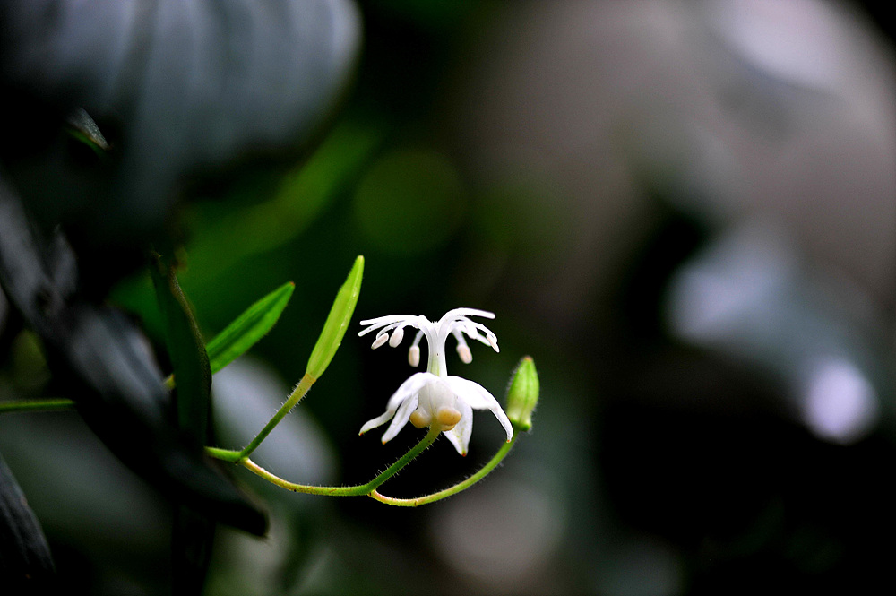 DSC_9691.jpg