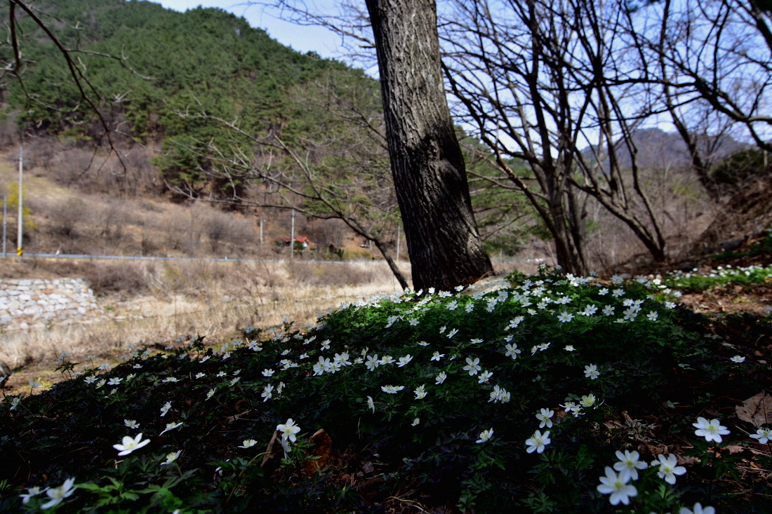 DSC_2983.JPG