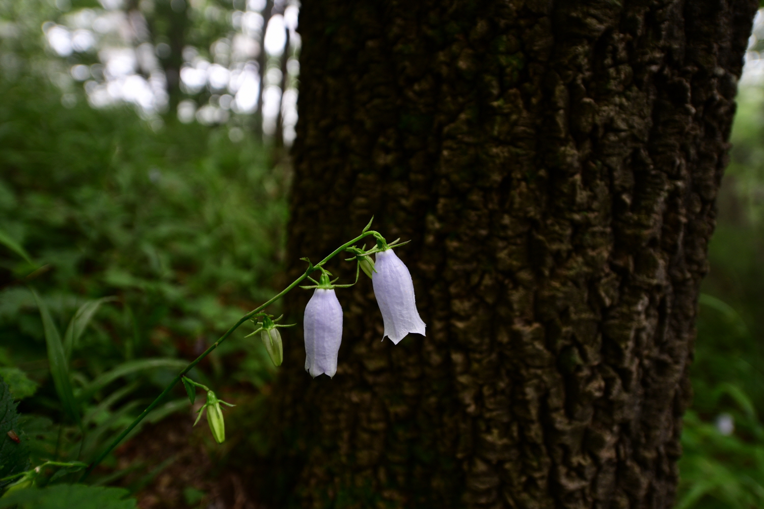 크기변환_DSC_0952.JPG