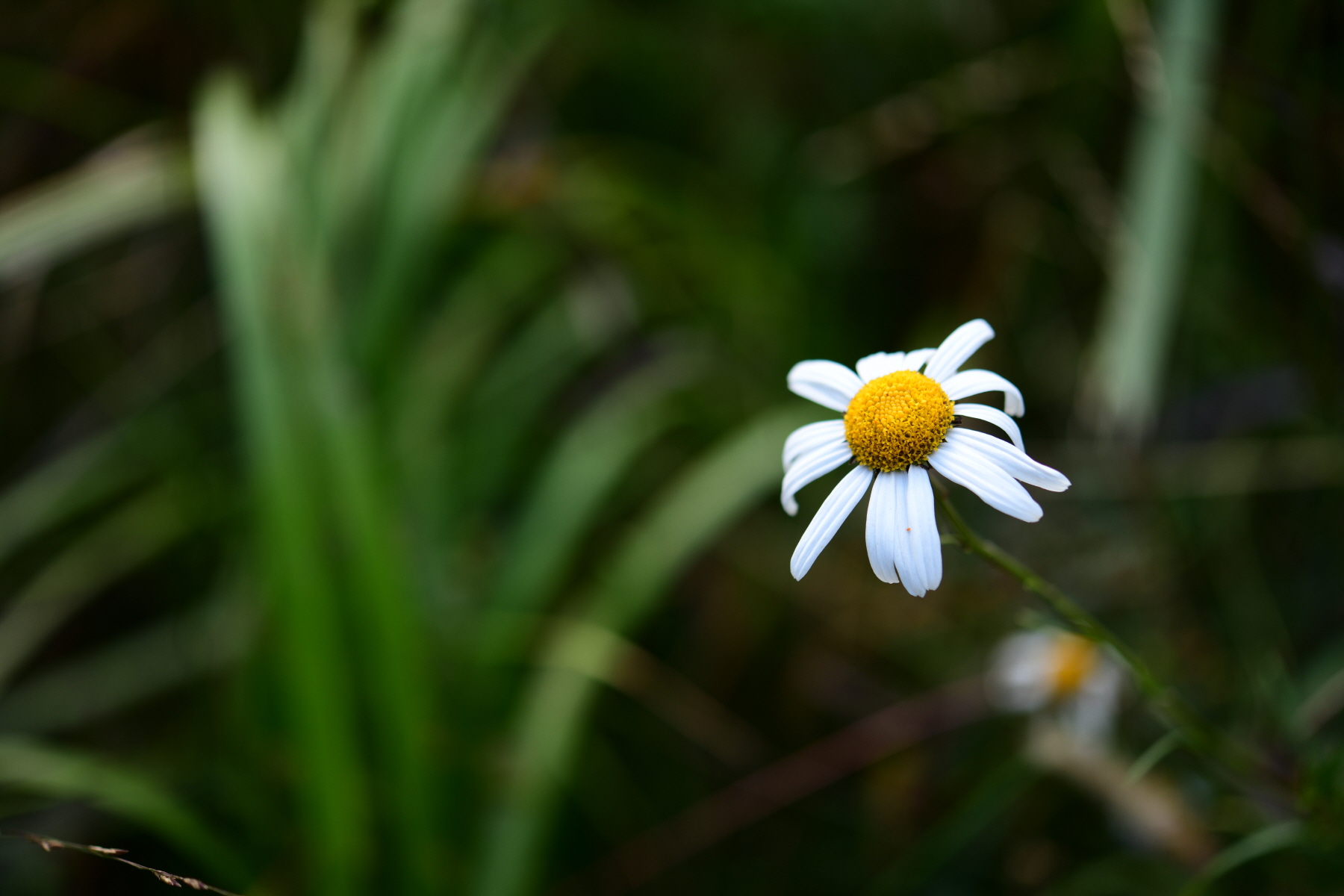 크기변환_DSC_2701.JPG